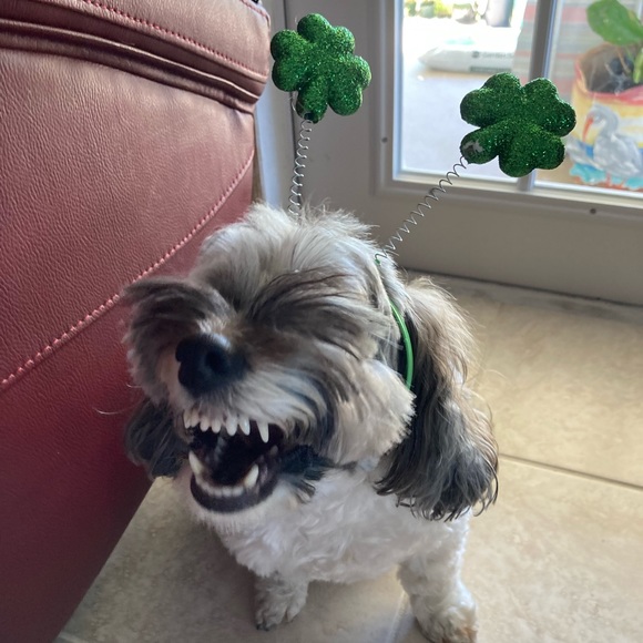 50%OFF CLOTHES🐣🐣🐣🐣🐣 - Picture 9 of 9